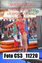 CS3_11220-