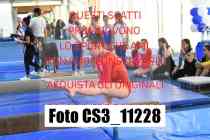 CS3_11228-