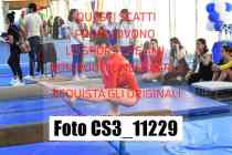 CS3_11229-