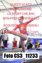 CS3_11233-