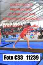 CS3_11239-