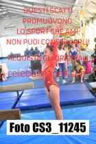 CS3_11245-