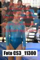 CS3_11300-