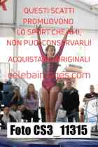 CS3_11315-