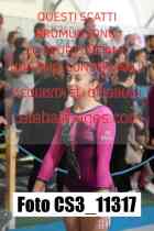 CS3_11317-