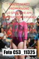 CS3_11325-