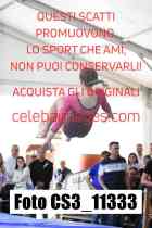 CS3_11333-