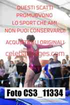 CS3_11334-