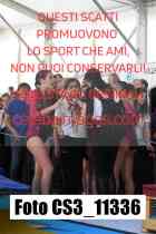 CS3_11336-