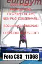 CS3_11368-