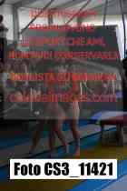 CS3_11421-