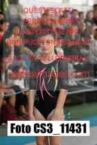 CS3_11431-