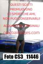 CS3_11446-