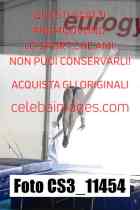 CS3_11454-