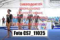 CS7_11025-