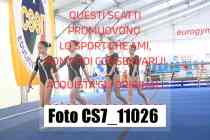 CS7_11026-