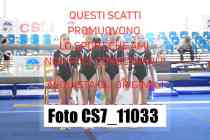 CS7_11033-