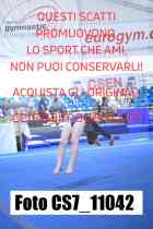 CS7_11042-