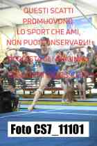 CS7_11101-