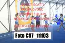 CS7_11103-