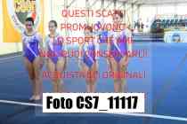 CS7_11117-