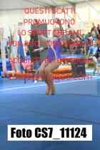 CS7_11124-