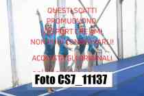 CS7_11137-