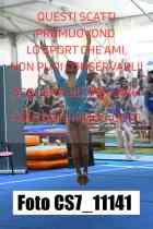 CS7_11141-