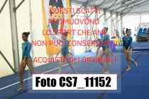 CS7_11152-
