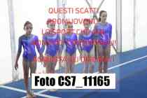 CS7_11165-