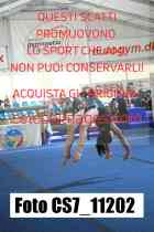 CS7_11202-