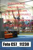 CS7_11230-