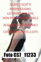CS7_11233-