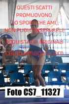 CS7_11327-