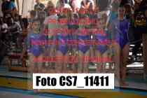 CS7_11411-