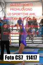 CS7_11417-