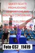 CS7_11419-