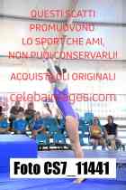 CS7_11441-