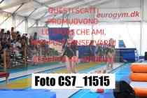 CS7_11515-