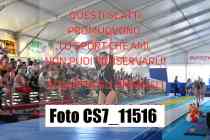 CS7_11516-