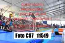 CS7_11519-