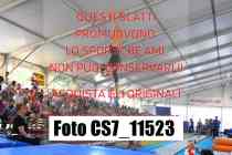 CS7_11523-
