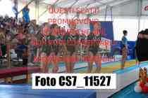 CS7_11527-