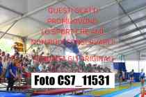 CS7_11531-