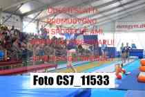 CS7_11533-