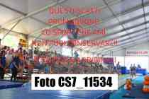 CS7_11534-