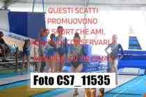 CS7_11535-
