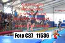 CS7_11536-