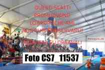 CS7_11537-