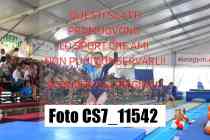CS7_11542-